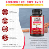 Native Logic Berberine HCL 1200mg with Ceylon Cinnamon, Bitter Melon, and Green Tea Extract | Supports Cardiovascular and GI Health with Immune System Support – 120 Capsules