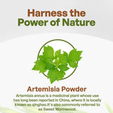 Go Nutra Artemisia Powder 8 oz | Sweet Wormwood Powder | Pure Artemisia Annua Artemisinin Herbal Supplement | Non-GMO