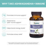 Himalaya Ashwagandha+ Immune with Ashwagandha, Elderberry, Zinc & Vitamin C for Active Immune Support, 60 Capsules, 1 Month Supply, Vegan, Gluten Free