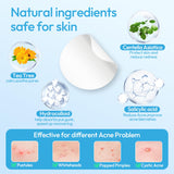 Breiboz Pimple Patches for Face, Hydrocolloid Ace Patches, Zit Patches for Day and Night Invisible with Tea Tree, Salicylic Acid & Cica Oil-280 Patches,5 Size,2 Thickness