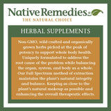 Native Remedies ThyroSoothe - All Natural Herbal Supplement Soothes The Thyroid Gland - Supports Systemic Balance in The Endocrine System and Thyroid Gland - 59 mL