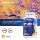 Pylori-X for H. Pylori Defense | Matula Tea Alternative w/Mastic Gum, Berberine, Zinc Carnosine, Bismuth Salts | Microbiome Balance, Digestive Relief (120 Capsules)