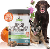 STRAWFIELD PETS 2-pack LOT Strawfield Senior dog Multivitamin + Probiotic 120 Soft Chews 12/2022