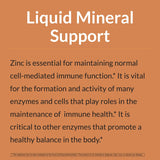 Eniva Health Liquid Ionic Zinc Supplement (16oz) Immune Health, Vision, Skin. Doctor Formulated. NO Calories. NO Sugar. Perfect for Low-Carb, Keto & Flu. by