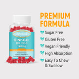Zetelixia 2 Pack Ginkgo Biloba Gummies 120mg for Women & Men, Brain Supplement Improve Better Mood & Focus, Vegan, Non-GMO, Sugar Free Raspberry Flavor, 120 Count