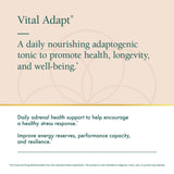 Natura Health Products Vital Adapt Supplement - Daily Nourishing Adaptogenic Tonic for Endocrine Function Support - Featuring Rhodiola, Ashwagandha, Cordyceps, Reishi (60 Capsules)