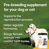 Breed Heat - Breeding & Reproductive Supplement for Dogs & Cats (Formerly Thomas Labs, Same Product) - 16 oz Powder