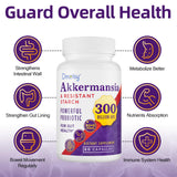 300 Billion AFU Akkermansia Muciniphila - Live Akkermansia Probiotics for Men & Women, for GLP-1, Digestive, Gut, Immune & Overall Health, Enhances Gut Lining Function & Intestinal Walls, 60 Capsules