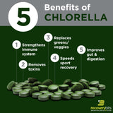 RECOVERYbits Organic Chlorella Algae Tablets, Superfood, Pure Green Algae, High Protein and Fiber, Chlorophyll, Cracked Cell Wall Non-Irradiated, for Immune Boosting and Detox, Non-GMO, 60 Tablets