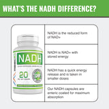 MAAC10 NADH Supplement 20mg Each 60 Capsules for Energy, Fatigue, Mental Focus & NAD+ Longevity Support | Pharmaceutical Grade 99% Pure NADH.