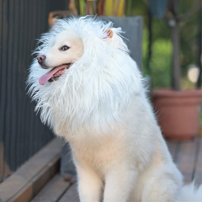 Onmygogo Lion Mane Wig for Dogs with Ears, Funny Pet Costumes for Halloween Christmas (Size L, White)