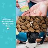 Probiotics for Dogs by Tails 'N' Tummies