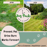 Dog Rocks Dog Pee Grass Neutralizer for Green Grass in 3-5 Weeks | Dog Grass Saver Rock | 100% Natural Urine Neutralizer for Lawn | 200 grams