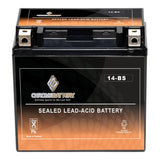 Chrome Battery YTX14-BS ATV Battery- Rechargeable, Factory sealed, Replacement for Honda TRX 500 420 450 350 300 Rubicon Foreman Rancher