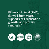 Standard Process Ribonucleic Acid (RNA) - RNA Supplement with Calcium, and Magnesium Citrate - Vegetarian, Gluten Free - 180 Tablets