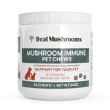 Mushroom Immune Support Pet Chews (60ct) Treats for Dogs – Immune Booster Supplements for Pets with Ashwagandha, Astragalus, Blueberry, Olive Leaf, Acerola &Gut Health for Dogs and Cats