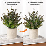 Coferset 2 Pack Small Fake Plants Christmas Greenery Eucalyptus Potted Artificial Plants for Shelf Desk Home Bathroom Farmhouse Room Coffee Table Decor Christmas Decor(Purple)