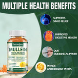 Putaojun 2 Pack Mullein Gummies - 2000mg Mullein Leaf Extract with Bromelain, Quercetin, Ashwagandha - Support Lung Cleanse & Respiratory Function for Healthy Breathing, Vegan- 120 Count