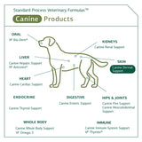 Standard Process - Canine Dermal Support - Healthy Skin for Dogs - 30 Grams