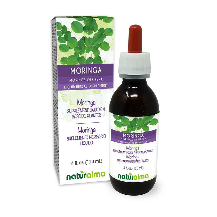 Moringa (Moringa oleifera or Moringa Aptera) Leaf Alcohol-Free Tincture Naturalma | 4 fl oz Liquid Extract in Drops | Herbal Supplement | Vegan | Product of Italy