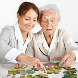 6 Packs Large Jigsaw Puzzles for Seniors Elderly 9&16 Piece, Dementia Activities for Senior & Alzheimers Activities Product Cognitive Memory Game 12.5X9.4inch