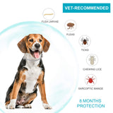 Flea and Tick Collar for Dogs,2 Pack,Natural Flea and Tick Prevention for Dogs,8 Months Protection,One Size Fits All Dogs,Adjustable & Waterproof,Include Flea Comb