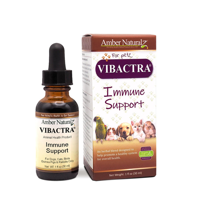 Amber Naturalz Vibactra Immune Support- an antioxadant enriched Formula Helps Fight Free radicals, Supports Healthy Teeth and Gums, maintains Healthy Gut Flor, Supports Upper Respiratory Healthy 1 Oz