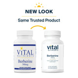 Vital Nutrients Berberine |Supports Bowel Function and Normal Triglyceride Levels |Vegan Supplement| Gluten, Dairy, and Soy Free |500 mg |60 Capsule