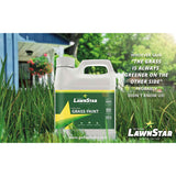 Grass Paint Concentrate (500-1,000 sq ft) - for Dormant, Patchy or Faded Lawn - Lush Green Turf Colorant (32 fl oz)