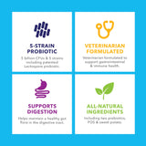 Vetnique Labs Profivex Probiotics for Dogs All Natural Dog Chews & Powder for Digestive Health Probiotic Supplements for Dogs 5 Strains of Probiotics & Prebiotics (Soft Chews, 60ct)