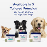 PetLab Co. ProBright Dental Powder - Dog Breath Freshener - Teeth Cleaning Made Easy – Targets Tartar & Bad Breath - Formulated for Large Dogs