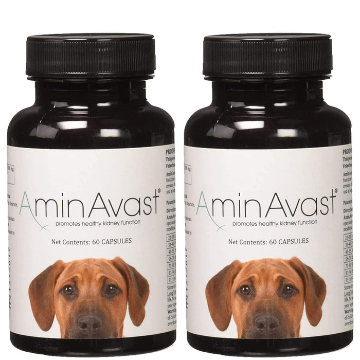 AminAvast Kidney Support Supplement for Cats and Dogs, 1000mg 2-Pack - Promotes Natural Kidney Function - Aids in Health and Vitality of Aging Kidneys - Easily Administered - 60 Sprinkle Capsules