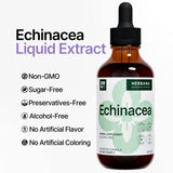 Echinacea 4 fl oz Liquid Extract - Organic Root, Leaf, Flower, Seed - Natural Herbal Supplement - Body, Immune System Support Tincture - High Potency Drops - 90-Day Supply - Family Size