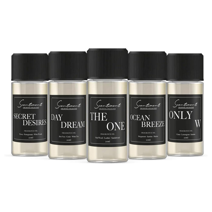 Hotel Collection Diffuser Oils | Aromatherapy Fragrances Inspired by 5-Star Hotels | Luxurious Scents with Notes of Cardamom, Tuscan Leather, and Sandalwood (20ml, Top 5 Scents)