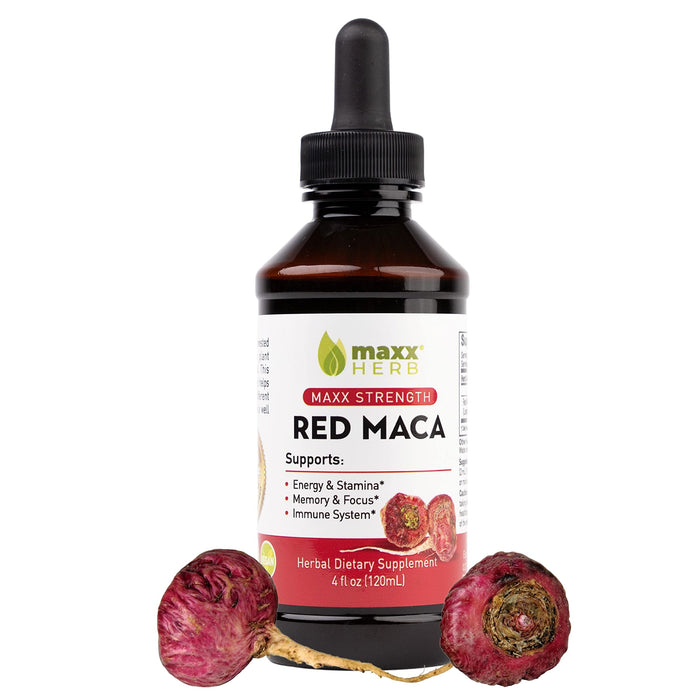 Maxx Herb Red Maca Root Extract - Max Strength Liquid Drops Absorb Better Than Powder or Capsules, for Stamina, Memory and Focus - Alcohol Free – 4 Oz Bottle (60 Servings)