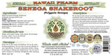 Hawaii Pharm Senega Snakeroot Alcohol-Free Liquid Extract, Senega Snakeroot (Polygala Senega) Dried Root Glycerite Natural Herbal Supplement, USA 2 fl.oz