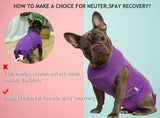 Wabdhaly Dog Surgery Recovery Suit,Small Suit for Female Spay Male Neuter Dogs Puppy Surgical Recovery,Blank Purple Body Suit S