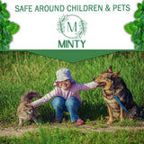 Minty Spider Repellent, Natural 5% Peppermint Oil Spray, Kills & Deters All Types of Spiders and Insects, Indoor and Outdoor Use, 16 fl oz Pint