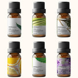 Essential Oils by PURE AROMA 100% Pure Oils Kit- Top 6 Aromatherapy Oils Gift Set-6 Pack, 10ml(Eucalyptus, Lavender, Lemongrass, Sweet Orange, Peppermint, Tea Tree)