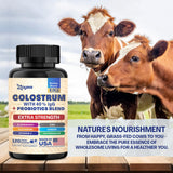 Zoyava Bovine Colostrum Supplement Capsules, Grass Fed Cow Colostrum with 40% IgG, Probiotics, Elderberry, L-Glutamine, Astragalus, Vitamin C, Ginger, Zinc (120 Capsules)