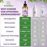 Saglikli Liposomal Ashwagandha Liquid Drops 2000mg, Ashwagandha Root Extract Supplement (7% Withanolides) with Black Pepper Extract & Probiotics for Focus, Cognition & Energy - 4 FL.OZ (2 Bottle)