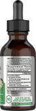 Horbaach Echinacea Goldenseal Liquid Extract | 2 fl oz | Alcohol Free Tincture Drops | Vegetarian, Non-GMO, Gluten Free