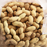 C.J. Dannemiller RAW Peanuts in the Shell, Jumbo Size, 10 LB Bulk Bag, Perfect for Boiling and Roasting