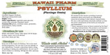 Hawaii Pharm Psyllium Alcohol-Free Liquid Extract, Psyllium (Plantago Ovata) Seed Glycerite Natural Herbal Supplement, USA 2x32 fl.oz