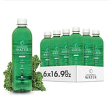 Chlorophyll Water Plant Based Vitamin Water w/Chlorophyll Liquid | Antioxidants, Detox Water, Immune Support, Energy Boost | Liquid Chlorophyll, Mineral Water, Vitamins A,B,C,D | Zero Calories 6pk