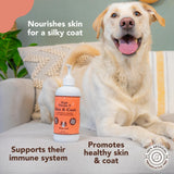 Natural Dog Company Skin & Coat Oil (16 oz.), Supports Skin Health, Fish Oil Supplements for Dogs, Soft Coat, Salmon Oil & Flaxseed Oil, Fatty Acids, Bottle of Dog Fish Oil with Pump, Antioxidant