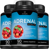 Premium Adrenal Support Supplement - Adrenal Formula for Energy, Adrenal Health & Mood – Adrenal Complex Includes Ashwagandha, L-Tyrosine, Holy Basil & Acerola –90 Capsules