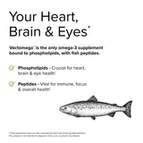 Terry Naturally Vectomega - 60 Capsules - Omega-3 from Salmon, Including EPA & DHA - Non-GMO, Gluten Free - 60 Servings