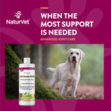 NaturVet – ArthriSoothe-Gold Advanced Care Liquid | Level 3 Advanced Joint Care | Supports Healthy Hip & Joint Function | Enhanced with Glucosamine, MSM & Chondroitin | For Dogs & Cats | 16 oz Liquid