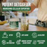 Organic Chlorella Powder - 3 Organic Certifications, Raw Form & Sun Grown - Guaranteed Best Source of Chlorella, Maximum Nutrient & CGF Levels (Chlorella Growth Factor) - 75 Servings (225 gr)